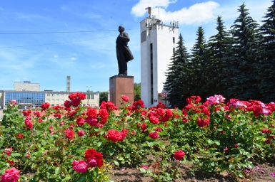 Ландшафтный дизайн в Орле