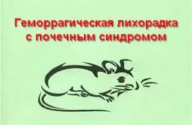 Памятка для населения: Меры профилактики геморрагической лихорадки с почечным синдромом