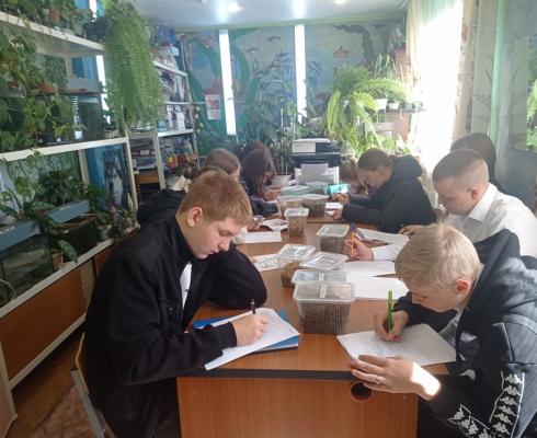 Ягупова Александра - победитель областного конкурса-слёта «АгроСтарт»