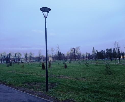 Победа в региональном этапе Всероссийского конкурса школьных лесничеств имени Г.Ф. Морозова